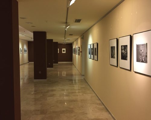 Las fotografías se podrán ver en la Sala de Exposiciones Temporales del Museo Salzillo